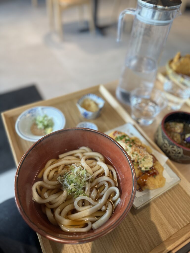 zaru chicken nanban udon