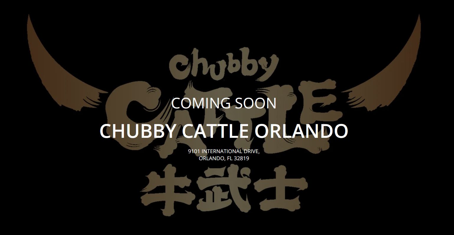 chubby cattle