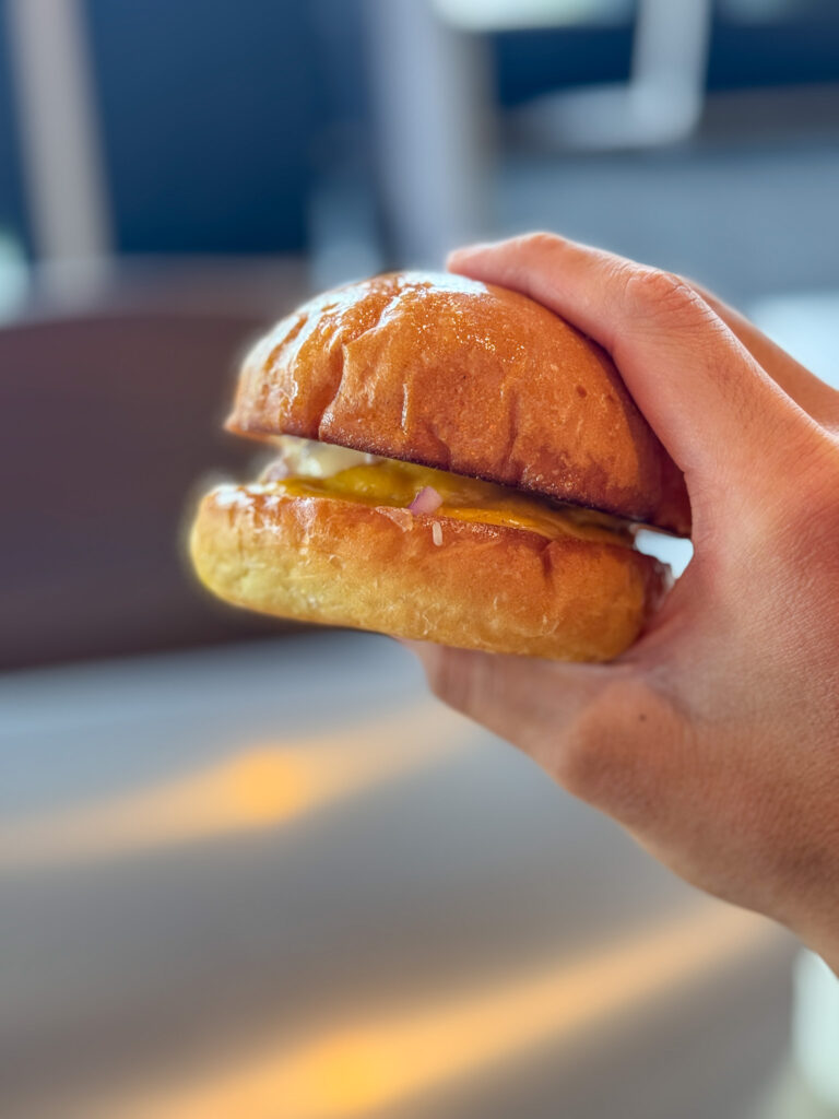 jay lucy burger
