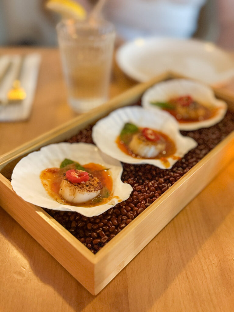 talay scallop